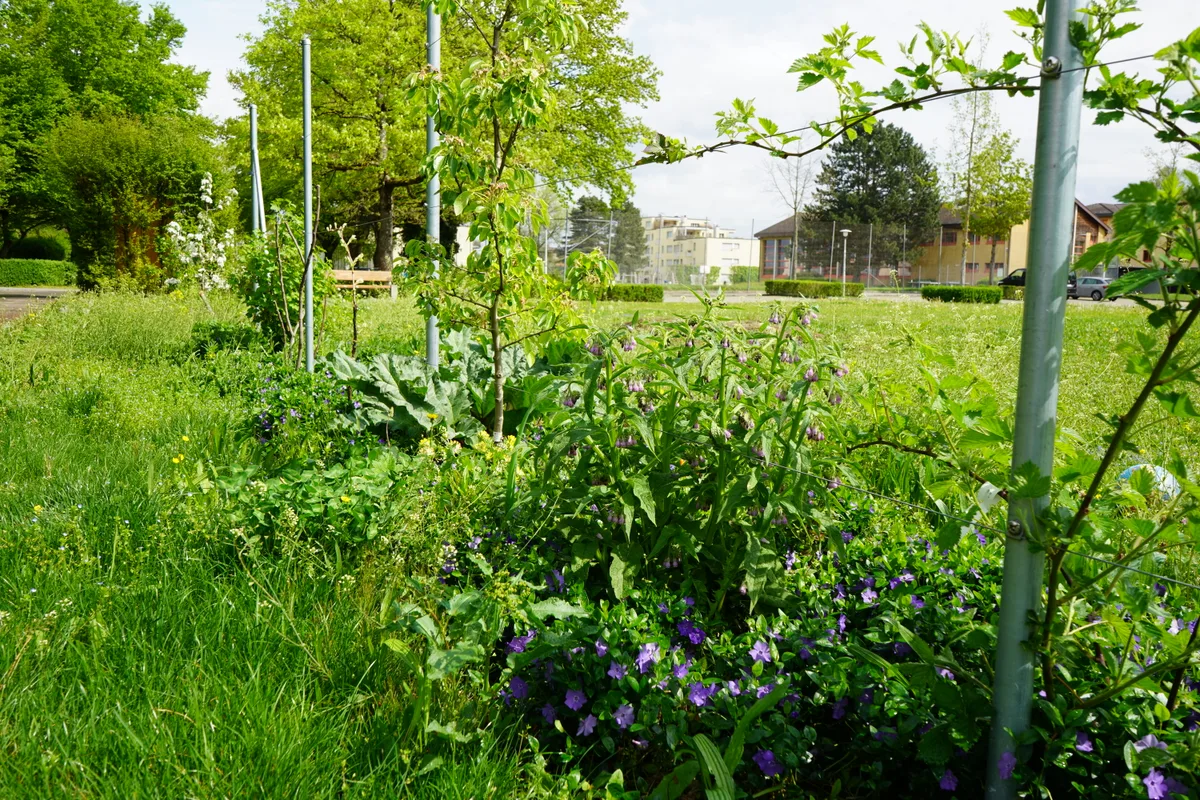 Die Projekte aus dem Ideenwettbewerb der Stadt Dübendorf nehmen langsam Form an.